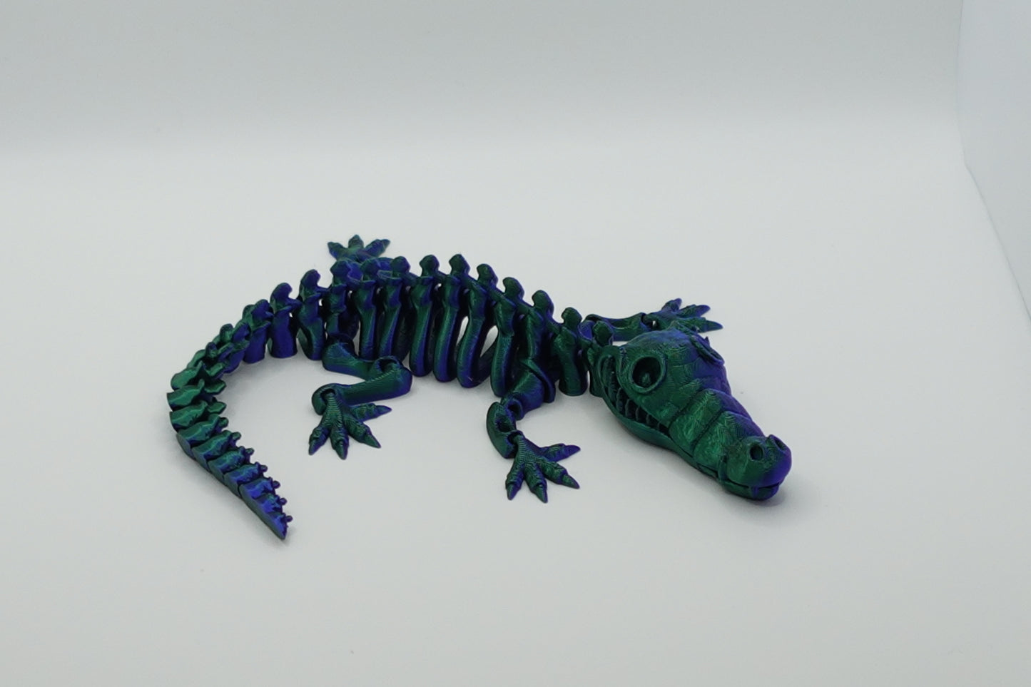 Crocodile Skeleton - (Articulated)