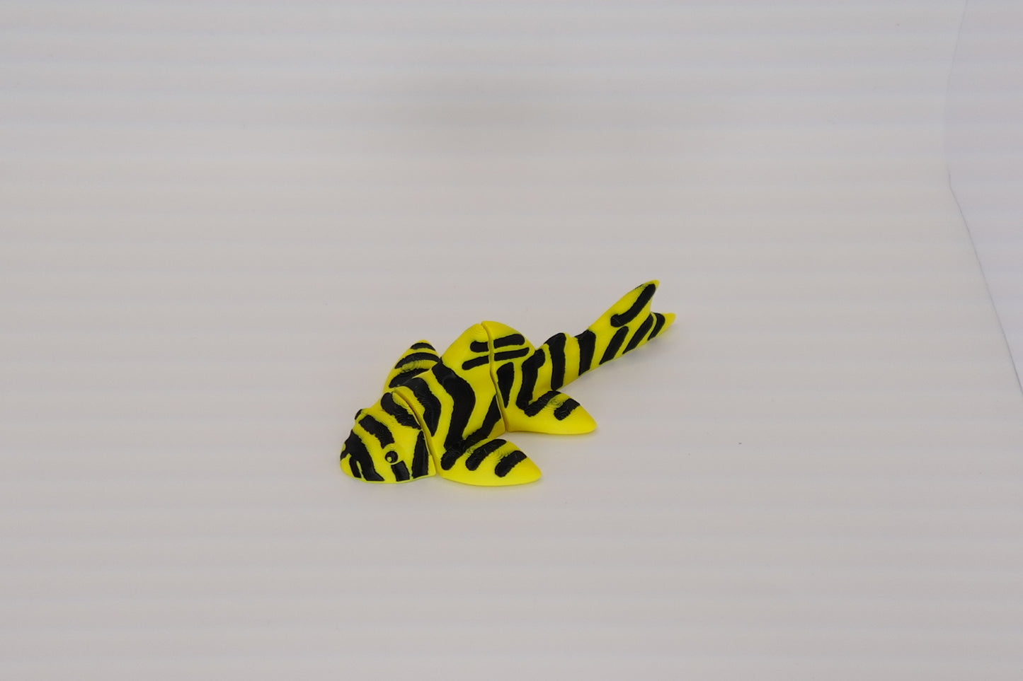 L134 Leopard Frog Pleco Mini