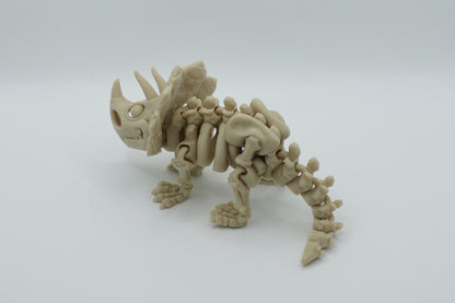 Triceratops Skeleton - (Articulated)