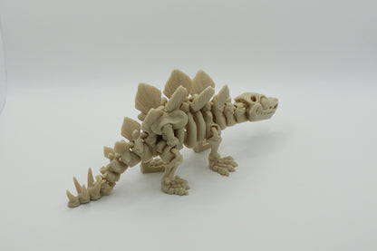 Stegosaurus Skeleton - (Articulated)